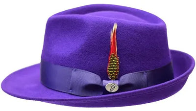 Bruno Capelo Purple Men's Wool Hat Hudson Lite Felt Fedora Hat
