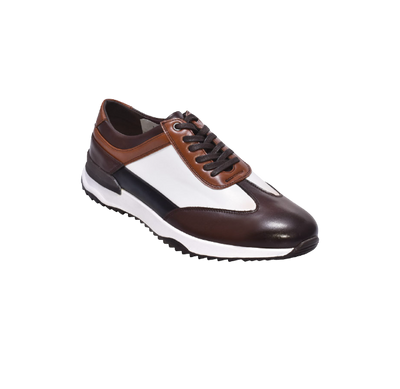 Royal Shoes Brown Multi Color casual Lace-Up Fashion Design Sneakers