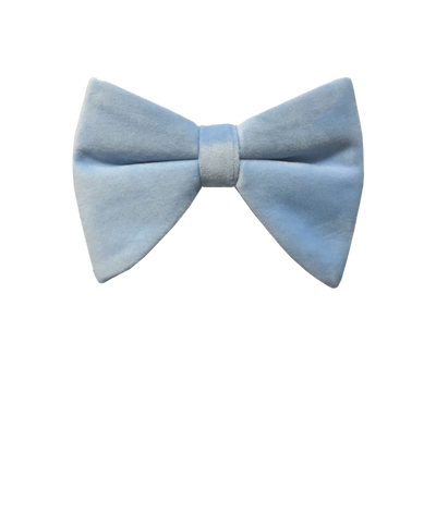 Sky blue velvet bowtie and pocket square - Design Menswear